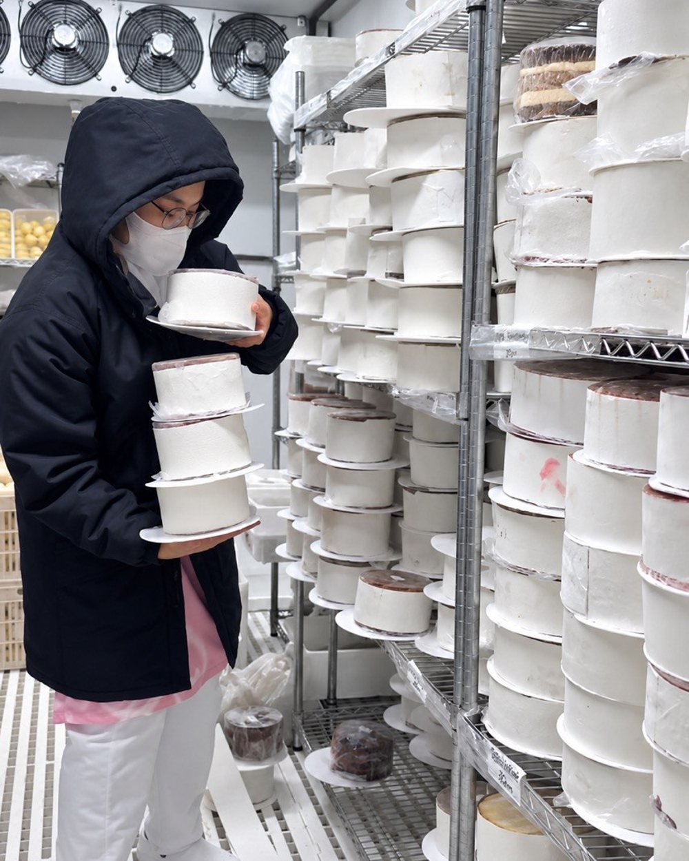 Bolos congelados organizados nas prateleiras da câmara fria da Roof Confeitaria